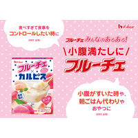 デザートミックス 製菓材料 お菓子作り フルーチェ×カルピス ピーチ 150g 6箱 ハウス食品