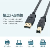 サンワサプライ USB2.0ケーブル(ブラック・2m) KU20-2BKHK2 1本
