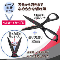 プラス はさみ フィットカットカーブ 大型 ベタつかない チタン3D刃 ブラック 35237 1本