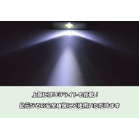 アサノヤ産業 ケータイホーン 4935682031904 1セット(5個)（直送品）