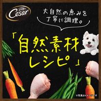 シーザー 犬 自然素材レシピ サーモン＆さつまいも・にんじん 85g 7個 ドッグフード ウェット