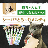 シーバ とろ～り メルティ 自然素材レシピ まぐろ味セレクション 12g×20P 2袋 キャットフード 猫 おやつ