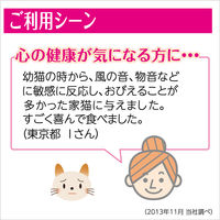 ミャウミャウ クリーミー 成猫用 和牛風味 国産 40g 24袋 アイシア キャットフード 猫 ウェット パウチ