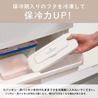 小泉成器 真空ランチボックス KVLー0800/W 1台