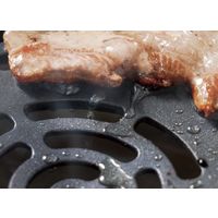 アピックスインターナショナル グリルマイスター AGPー350BK 1台