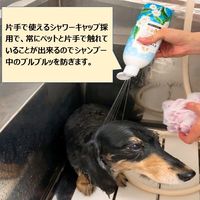 コペット フレグランスシャンプー No1 ホワイトティーの香り 275ml 犬用 1個