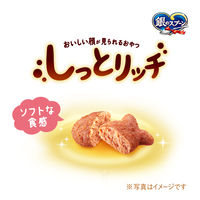 銀のスプーン おいしい顔が見られるおやつ しっとリッチ シーフード＆チキン 国産 100g 3袋 猫用 おやつ