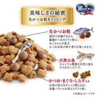 銀のスプーン 国産生かつおin 海の幸ブレンド 小魚添え 1.0kg（小分けパック3袋入）1袋 キャットフード 猫 ドライ
