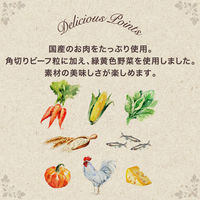 グランデリ ふっくら仕立て ビーフ・鶏ささみ・野菜 ・チーズ入 大容量 2.9kg（小分け6袋）国産 1袋 ドッグフード 犬