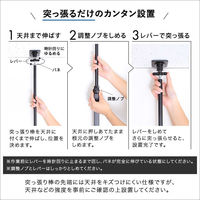 ホームテイスト スラックスハンガー ハンガーポール2本付 ウォールナット AW303-TPRTHS 1台（直送品）