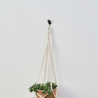 レック 穴の目立たないピンフック ブラック 耐荷重2kg H00405 1パック（3個）