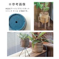 ポッシュリビング アーバンプランツポット ソリッド ケール 4号鉢 282813 1個（直送品）