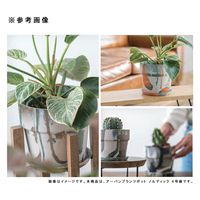 ポッシュリビング アーバンプランツポット ノルディック 4号鉢 287888 1個（直送品）
