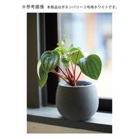 コントン　ヤマテー ポネン　バリー　３号用　ホワイト　鉢カバー　底面吸水　観葉植物 282182 1個（直送品）