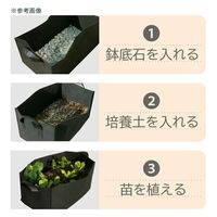 アストロ 不織布ガーデンポット フェルト 長方形 50×30×25cm 255812 1個（直送品）