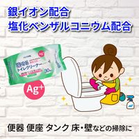 iiもの本舗 流せるトイレクリーナー ミントの香り 4589596693774 1袋(30枚)