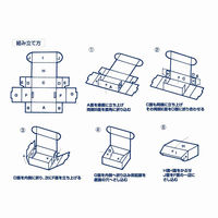 シモジマ ナチュラルBOX Zー3 006200310 1束(10枚)