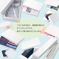 シモジマ DX白無地箱 Gー1 商品券用 006815300 1袋(10枚)