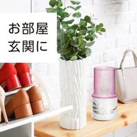 消臭剤 芳香剤 置き型 スッキーリ！ お部屋用 華やかなローズ 400mL 1個 アース製薬