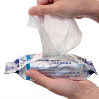 ウェットティッシュ　除菌シート　キレイキレイ99.99%除菌ウェットシート 1セット（30枚入×6個）