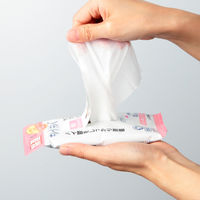 ウェットティッシュ　除菌シート　キレイキレイ除菌ウェットシート ノンアルコールタイプ　1箱（10枚入×48個）