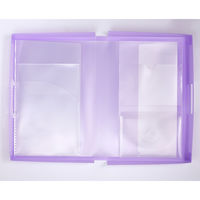 レイメイ藤井 作品ファイル バイオレット RS1089V 1個