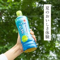 伊藤園 氷水出し 抹茶入り おーいお茶 600ml 1箱（24本入）