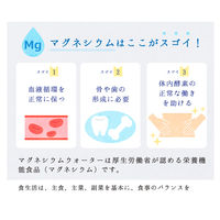 マグネシウムウォーター 500ml 1セット（48本）