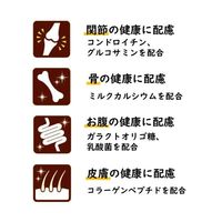 （バラエティパック）いなば ちゅーるごはん 犬 緑黄色野菜 総合栄養食 国産 (14g×40本) 1袋 ちゅ～る ドッグフード 犬用 おやつ