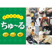 （バラエティパック）いなば ちゅーる 犬 総合栄養食 とりささみ 国産 (14g×40本) 1袋 ドッグフード ちゅ～る 犬用 おやつ ウェット