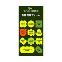 beplain（ビープレーン） グリーンフル弱酸性クレンジングフォーム 80g 韓国コスメ 洗顔料 洗顔フォーム