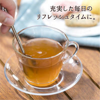 meito カフェスタ 林檎（リンゴ）ジンジャーアールグレイ 5パック（10本入×5）インスタント紅茶