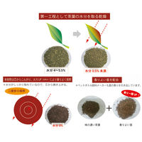 国太楼 水出しほうじ茶ティーバッグ 5袋（50バッグ入×5）