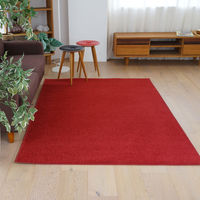 スミノエ コンシェルジュ オーダーラグ バンジュール 3250×3950mm レッド AS-BJ109-RED325395 1枚（直送品）