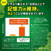 イチョウ葉 約30日分(90粒入り)【小林製薬の機能性表示食品】 5袋