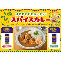 GABAN for Curry スパイスカレートッピング 18g 5個 ハウス食品