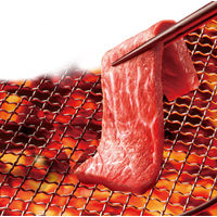 日本食研 晩餐館 焼肉のたれ 焙煎にんにく 500g 5本