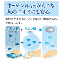 ヤシノミ洗剤 キッチン泡ハンドソープ 本体 250ml 5個 サラヤ