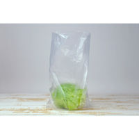 鮮度保持ポリ袋 半透明 430×240×60mm厚さ0.009mm L 5箱（40枚入×5）高密度ポリエチレンストリックスデザイン