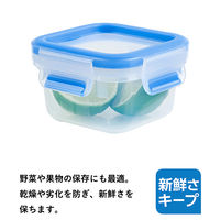 T-fal（ティファール） 保存容器 200ml スクエア マスターシール N10146 1個