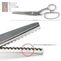 藤久（クラフトハートトーカイ） 高級ステンレスピンキングはさみ 225mm 0375213 1本