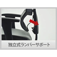 【軒先渡し】エルゴヒューマン スマート オフィスチェア エラストメリックメッシュ 肘付 グリーン EHS KM14 1脚（直送品）