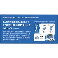 パナソニック アルカリ乾電池 単2形 6本シュリンクパック LR14XJ/6SW 1式