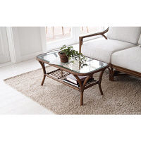 サンフラワーラタン Breezeシリーズ ラタン×ヨーロッパリゾート センターテーブル T127GY 1台（直送品）