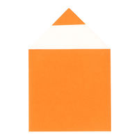 トーヨー 単色おりがみ 24.0cm きだいだい 075106 1セット(1冊(50枚)×2)