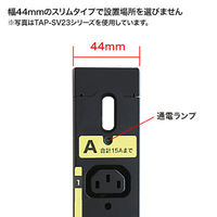 サンワサプライ 19インチサーバーラック用コンセント 200V（30A） TAP-SV23024C19（直送品）