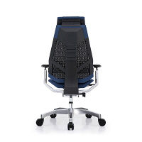 【車上渡し】 Ergohuman（エルゴヒューマン） ジェニディア 多機能オフィスチェア 肘付 エラストメリックメッシュ ブルー 1脚（直送品）