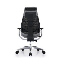 【車上渡し】 Ergohuman（エルゴヒューマン） ジェニディア 多機能オフィスチェア 肘付 エラストメリックメッシュ ホワイト 1脚（直送品）