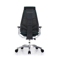【車上渡し】 Ergohuman（エルゴヒューマン） ジェニディア 多機能オフィスチェア 肘付 エラストメリックメッシュ グリーン 1脚（直送品）
