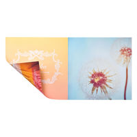 サンワサプライ 2つ折りインデックスカード(薄手・つやなしマット) JP-IND8N 1セット(3冊)